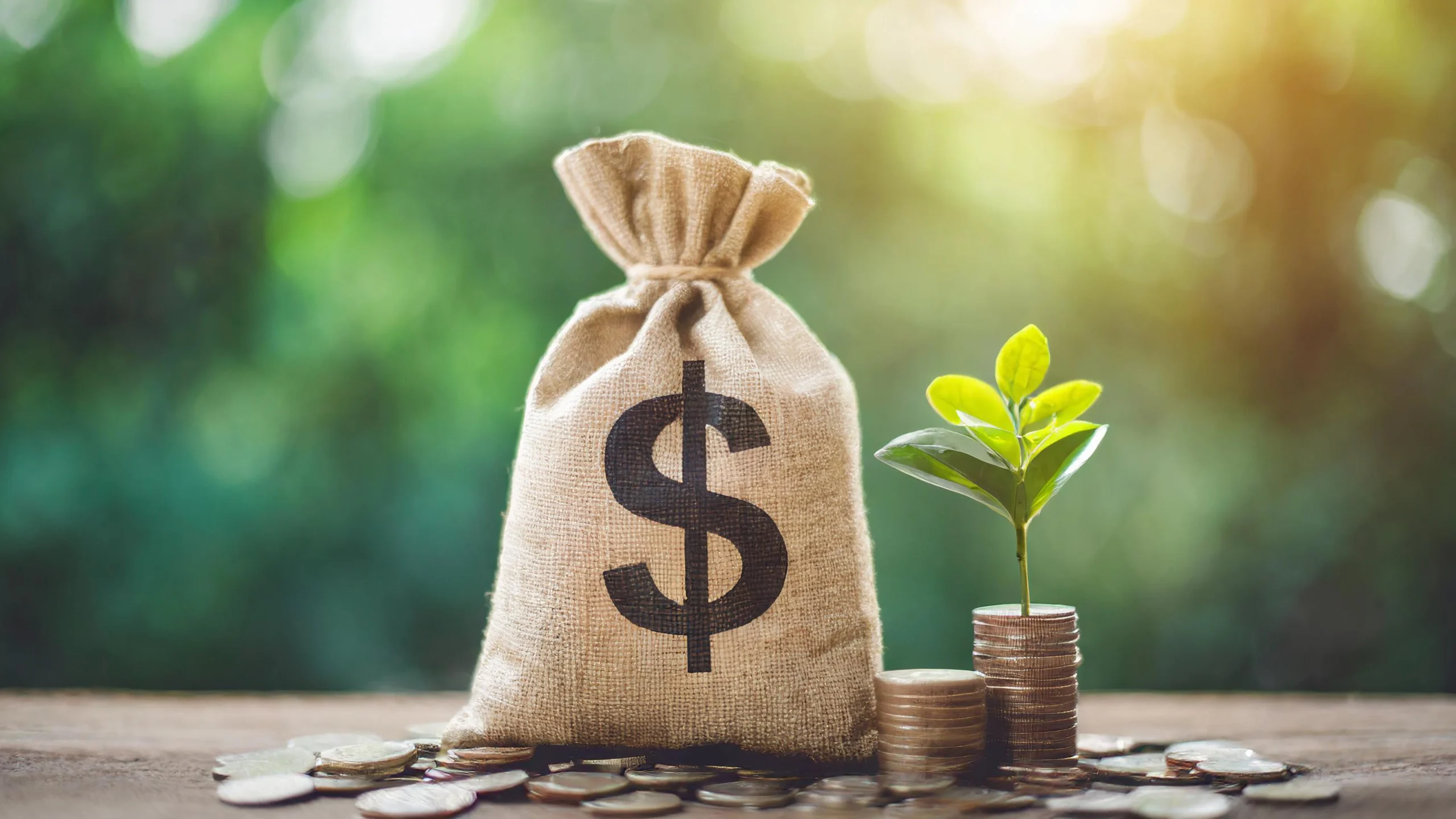 American Grant Association Grant Provider